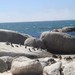 企鹅岛