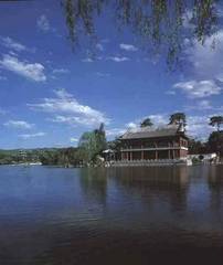 2005121514013346386