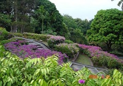 花芭山 img200612051624533[1]