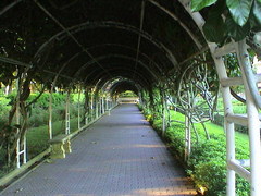 圣淘沙 2006042610334316222[1]