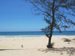 芽庄海湾 2006051116010141305[1]