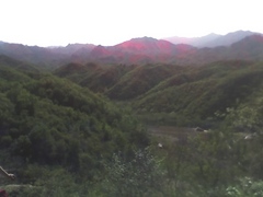 莲花山森林公园图片