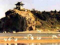 鸽子窝公园图片