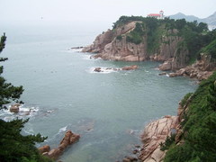 东寨港红树林图片