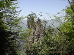 紫柏山图片