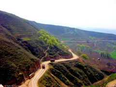 骊山森林公园图片