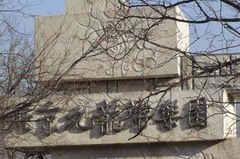 九龙游乐园图片