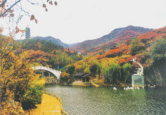 红叶谷生态文化旅游区图片