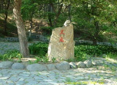 净月潭国家公园图片