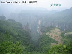 200831611255546115