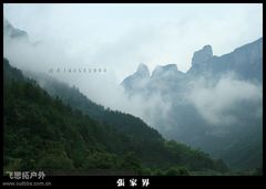 20080908_fd13f2ea3ccc8141c1dedA0HFKLtxiUh