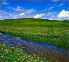 花湖招聘_六月去九寨沟黄龙游怎么安排行程(3)