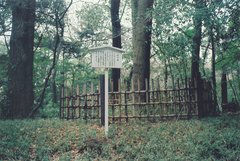 东京代代木公园图片