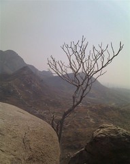 燕山图片