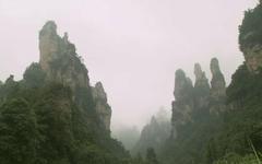 左边的：张家界有名的传说中的向王天子。正在研读兵书。右边的三姐妹峰~大姐正背着背娄准备去看娘家，二姐背着小孩正望着丈夫的归来，三妹挺着大肚子，像似快怀胚了