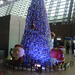 DSC00065