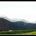 全景7