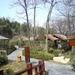 DSC00972