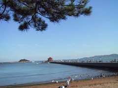 青岛栈桥图片2