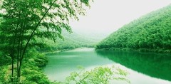 溧阳市天目湖南山竹海景区图片