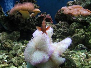 天目湖海洋世界