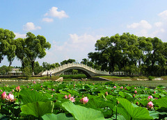 太阳岛公园03