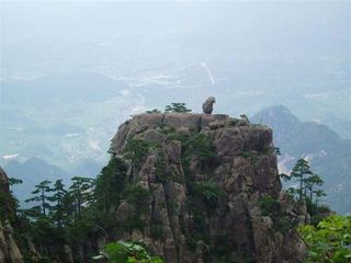 猴子观海