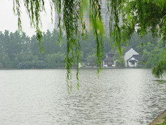 莫愁湖公园012