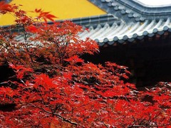 栖霞山02局部