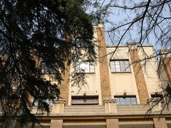 南京总统府07森字楼，楼前两颗印度雪松，由当年国民党国民政府主席林森手植