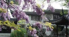 拙政园03春色