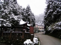 天台山图片