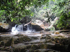 鼎湖山图片