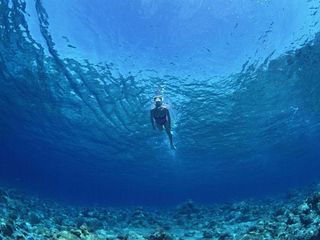 潜水