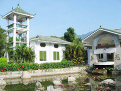 荔苑风景