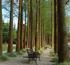 福州国家森林公园图片