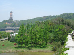 招宝山图片