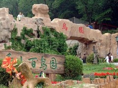 千山图片