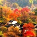 安徽 黄山 塔川