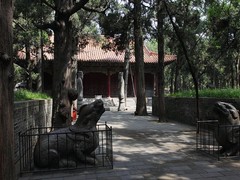 曲阜孔庙、孔府、孔林图片