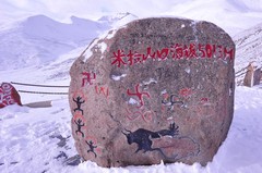 米拉山图片