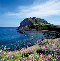 济州岛图片