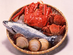 北海道图片