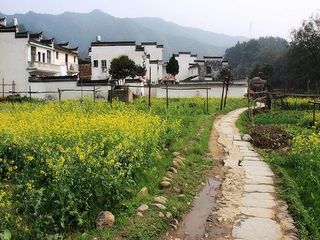 晓起村