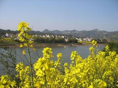 新安江图片