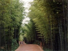 天安门图片