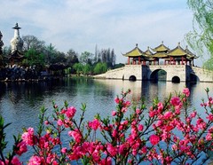 西湖图片