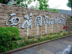 西溪湿地图片