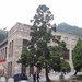 中共庐山会... 庐山会议遗址