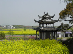 唐模